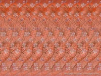 Lady in Flowers.webp