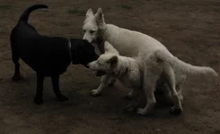 IMG_4546.webp IMG_4546.webp