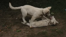 IMG_4559.webp IMG_4559.webp