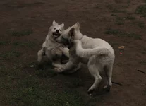 IMG_4561.webp IMG_4561.webp