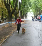 P8220084.webp