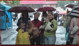  (11).webp