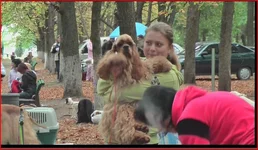  (22).webp