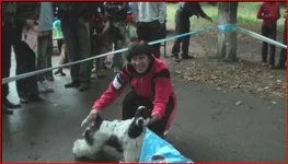 (17).webp