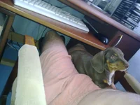 24082009541.webp