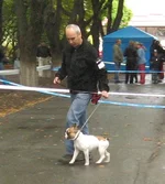  на ринге.webp