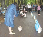  бєст бєби.webp