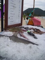 100_1205.webp