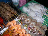 100_1242.webp