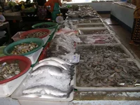 P8140643.webp