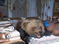 P1014800.webp