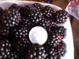 DSC00228.webp