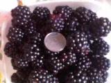DSC00225.webp