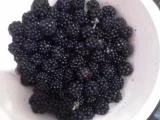 DSC00221.webp