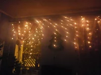 P6240341.webp
