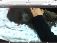 image.webp