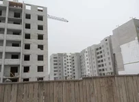 Photo (8).webp