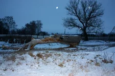 06.01.16г. 001.webp