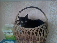 2016-01-11 14.45.42.webp