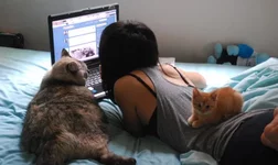 -alone-bed-bra-cat-Favim.com-185438.webp
