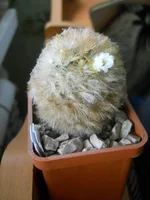 DSCN4483.webp
