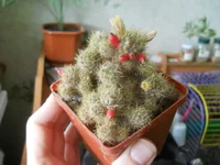 DSCN4484.webp