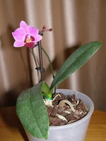 _8_01_2015.webp