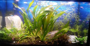 2016116143544.jpg