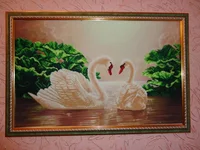 DSC06209-min.webp