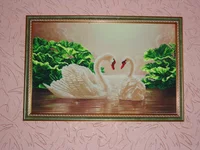 DSC06207-min.webp