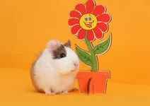 C0krEp_iBUk.webp