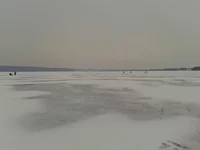  103.webp