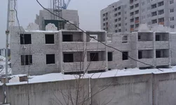 IMAG1643.webp