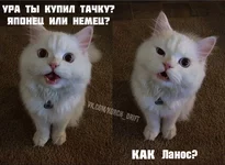  тачку.webp