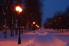 IMG_9187.webp