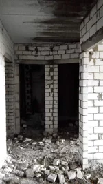 dqtgWGF.webp