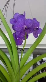 IMG_20160117_142013[1].webp