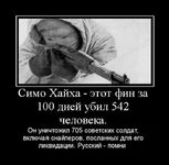 19.webp