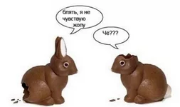 zaj.webp