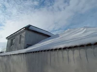 00004.webp