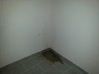 20160131_145255.webp