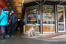 0001.webp