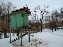 00005.webp