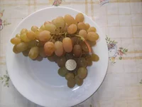 .webp