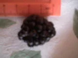 DSC00230.webp