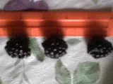 DSC00228.webp