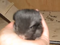 29 августа 09 010.webp