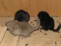 29 августа 09 023.jpg