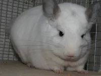 29 августа 09 040.webp