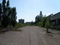25.webp